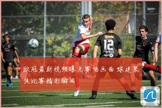 欧冠最新视频曝光赛场画面 球迷聚焦比赛精彩瞬间