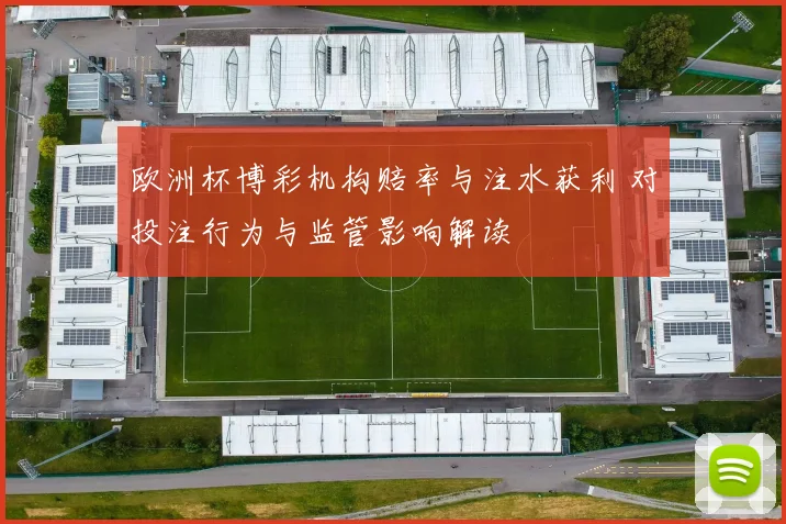 欧洲杯博彩机构赔率与注水获利 对投注行为与监管影响解读