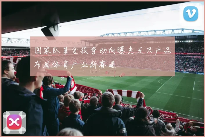 国家队基金投资动向曝光五只产品布局体育产业新赛道