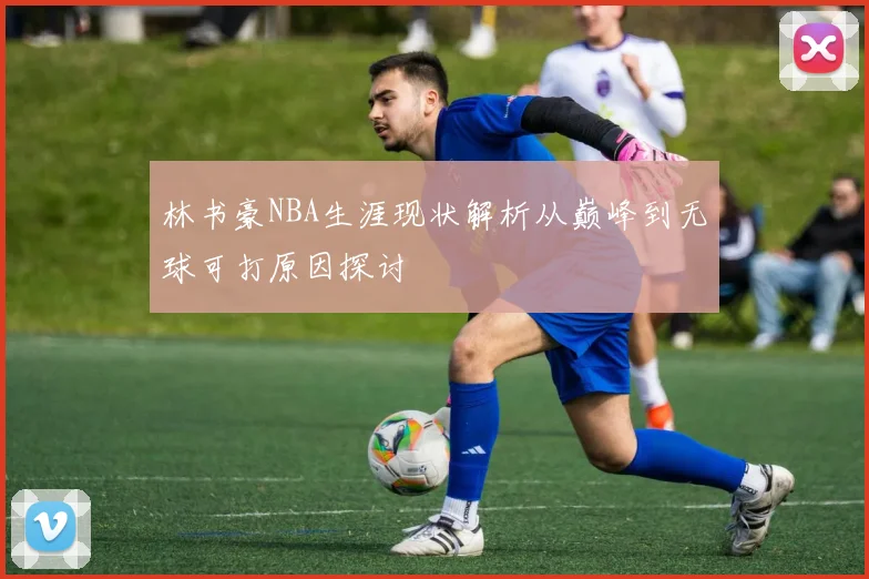 林书豪NBA生涯现状解析从巅峰到无球可打原因探讨