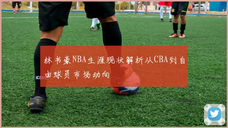 林书豪NBA生涯现状解析从CBA到自由球员市场动向